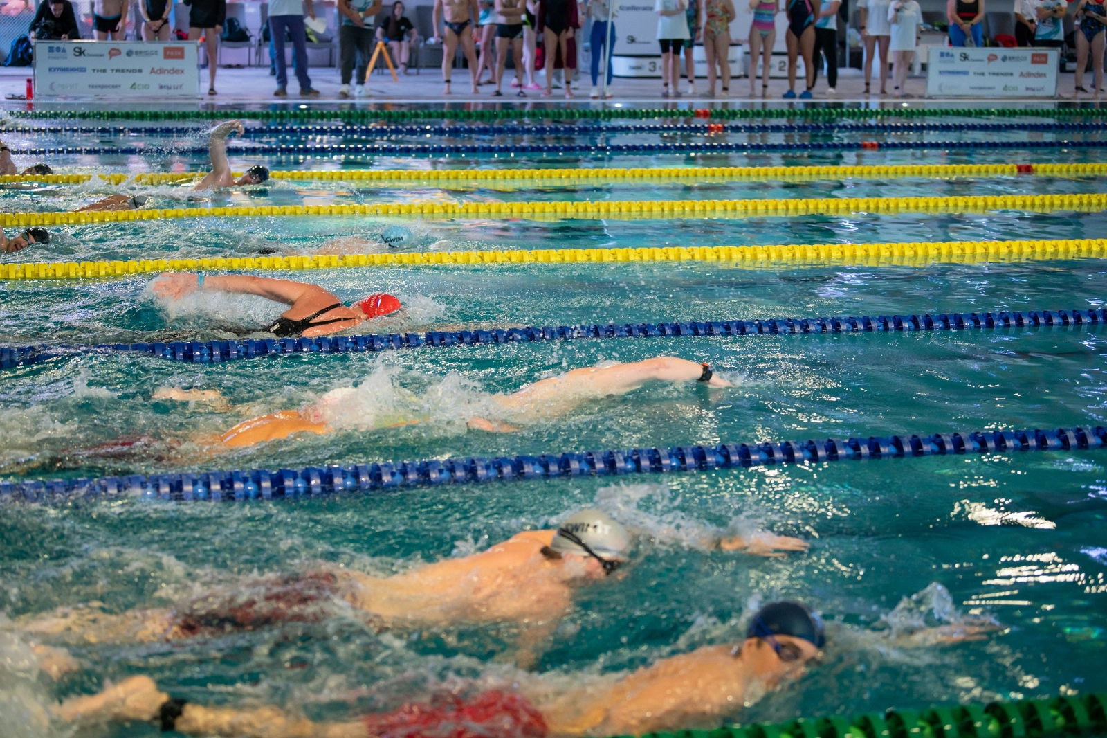 Несколько пловцов плывут в бассейне