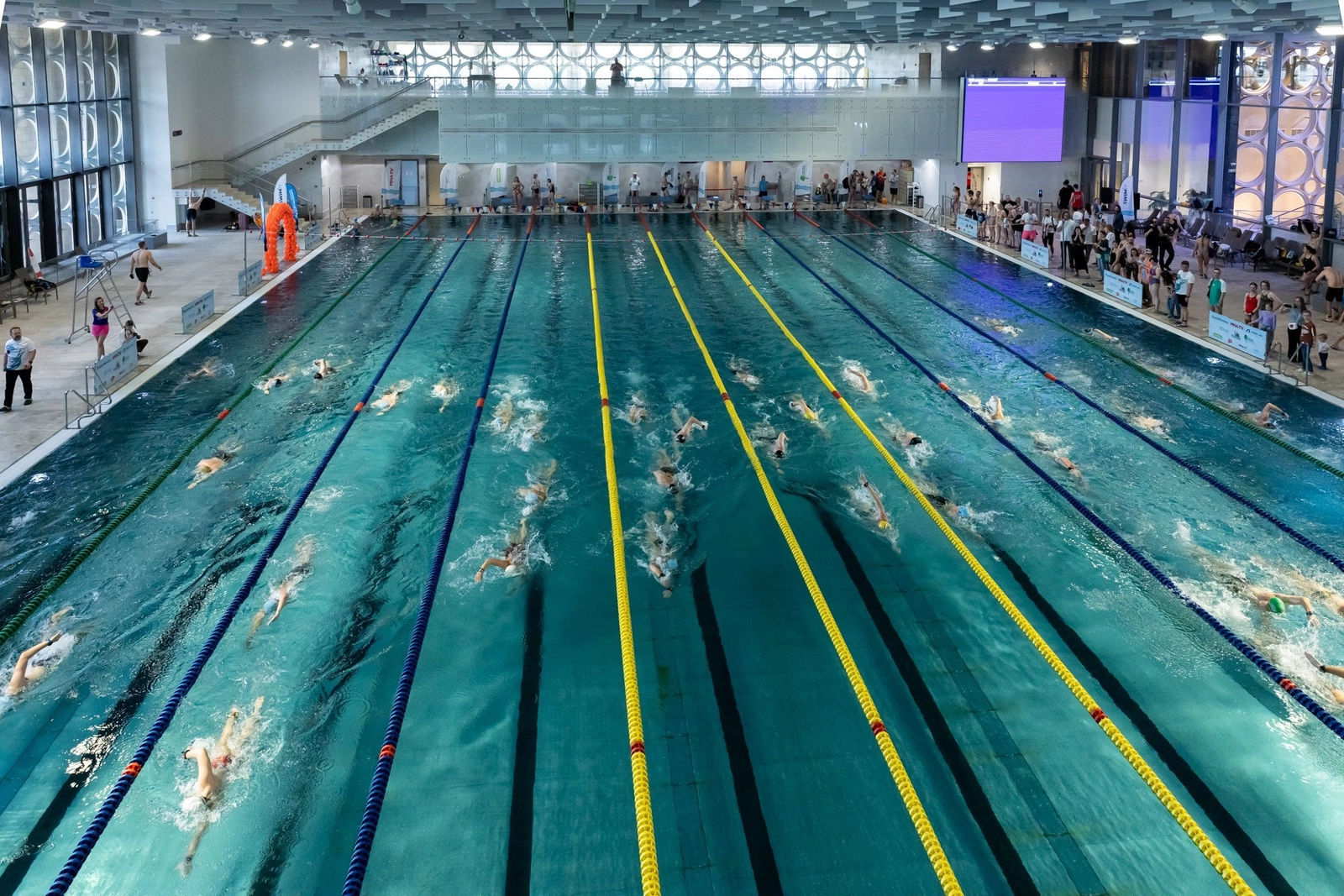 Большой крытый плавательный бассейн с пловцами, участвующими в заплыве, вид сверху